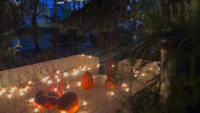 А вот и видео из супер-переговорки под открытым небом подъехало! ⚡️ смотреть онлайн