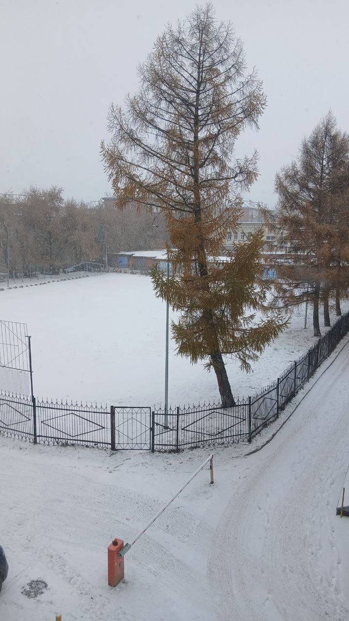 Либерти