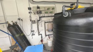 МИКРОЗЕЛЕНЬ? ЭТО НЕ ШУТКА! (600 КВ. МЕТРОВ ДОКАЗАТЕЛЬСТВ)