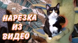 Нарезка из видео.