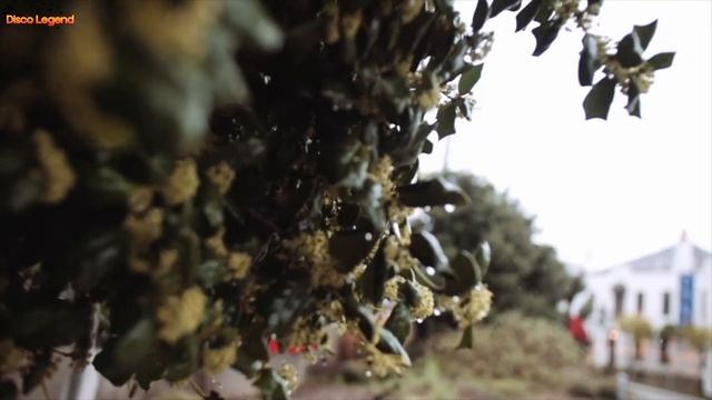 Davvi & Mr Salama & Umar Keyn - Rain Rain (Orginal Mix) смотреть онлайн