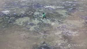 Deku, Bakugo & Endeavor Vs. shigaraki「AMV」Monster