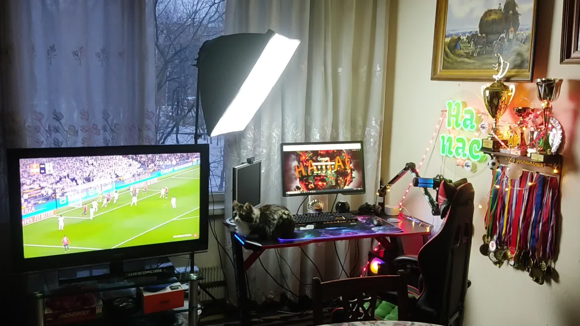 Вечерний стрим | Однажды на охоте смотреть онлайн