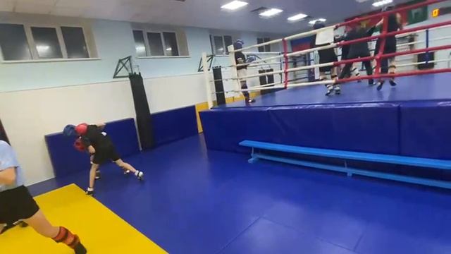 🔥5ноября 2025 года тренировка 🥋 "Федерации Савата Липецкой области". смотреть онлайн