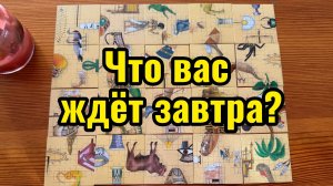 Что вас ждёт завтра? Гадание пасьянс
