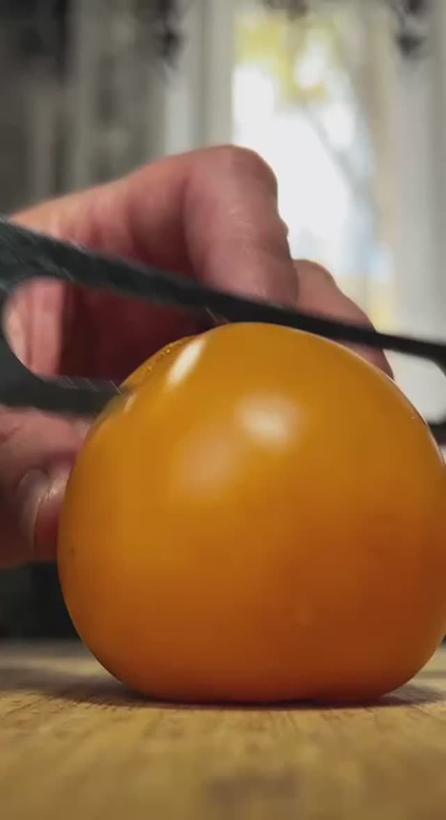 ФОТО ПАПЫ! #юмор #приколы #нинелькаакварелька смотреть онлайн