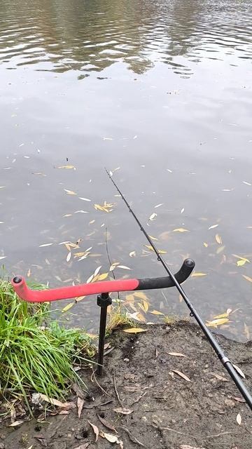 Без перекуса — не рыбалка! 🔥🍞 смотреть онлайн