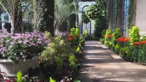 САДЫ США ЗНАМЕНИТЫЕ САДЫ ЛОНГВУД  СКАЗОЧНЫЕ ОРАНЖЕРЕИ - ЖЕМЧУЖИНА САДОВ ЛОНГВУД Longwood Gardens.