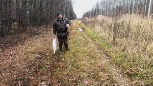 Охота с Русским пегим .  05.11.2025 год.