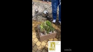 Победитель конкурса контейнерное озеленение