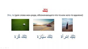 Практический курс АЯ5(5252)