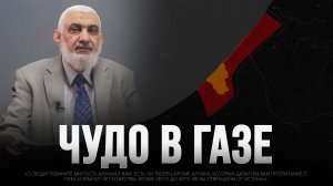 ЧУДО В ГАЗЕ: рыба весом 2 тонны накормила 14 000 человек