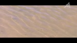 Важнейшее доказательство катастрофы XIX века и заселения Земли