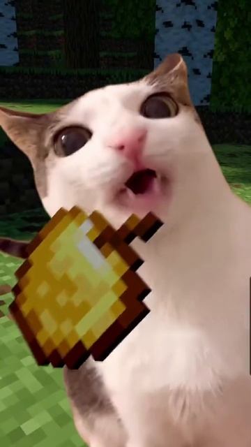 #топ #врек #рек #yappy #тренд #эдит #лайфстайл #music #rec #top #лучшее #подпишись #подписка #лайк # смотреть онлайн