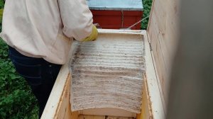 Отбор меда ноябрь 2025 в ульях лежаках я Якимова. Пасека под ключ