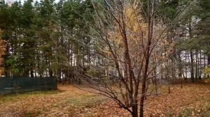 Дом рыбака на Кутулукском водохранилище.Осенняя прогулка.