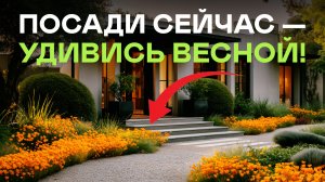Ещё Есть Время! Посейте Эти Цветы Под Зиму И Не Придется Возиться С Рассадой