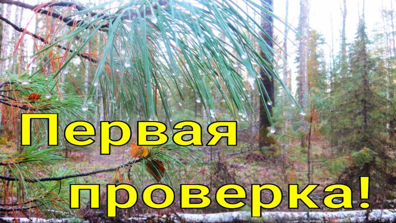 Отпустило снег сошёл первая проверка путика с КА-2У предсказуемо белки кедровки соболя не подходил смотреть онлайн