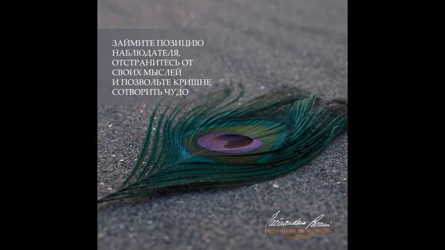 Беспристрастный наблюдатель. Вдохновение на джапу от Е.С.Шачинандана Свами