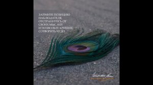 Беспристрастный наблюдатель. Вдохновение на джапу от Е.С.Шачинандана Свами