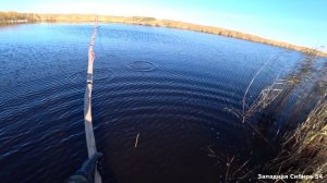 Ванна рыбы за 5 минут! Сменил место и как давай её таскать. Такой рыбалки у меня давно не было.