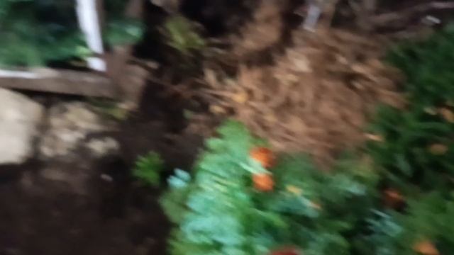 МАККА САГАИПОВА**Я ЛЮБЛЮ ТЕБЯ СЛЫШИШЬ**.КРАСИВАЯ ПЕСНЯ🎶🎤🎵 О ЛЮБВИ. Нельзя не любоваться цветами.. смотреть онлайн