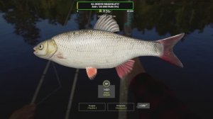 РР4 Комариное. Язь