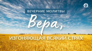 ВЕРА, ИЗГОНЯЮЩАЯ ВСЯКИЙ СТРАХ | Вечерние размышления