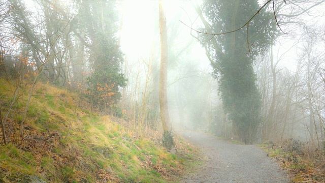 Футаж. Осенний пейзаж 34 смотреть онлайн