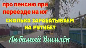 Ейск. Сколько зарабатываем на Рутубе? Про пенсию при переезде.. Любимый Василёк .