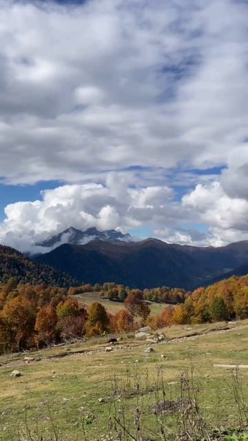 Абхазия, красоты Рицинского национального парка (начало ноября, ОСЕНЬ-2025) смотреть онлайн