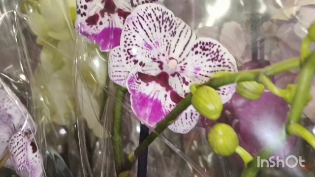 Завоз в магазин 