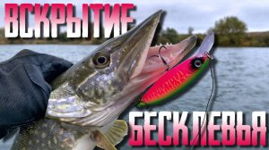 🔴 ОНИ УШЛИ но не ВСЕ! Куда пропала щука с моих точек?🔥🤔🔥