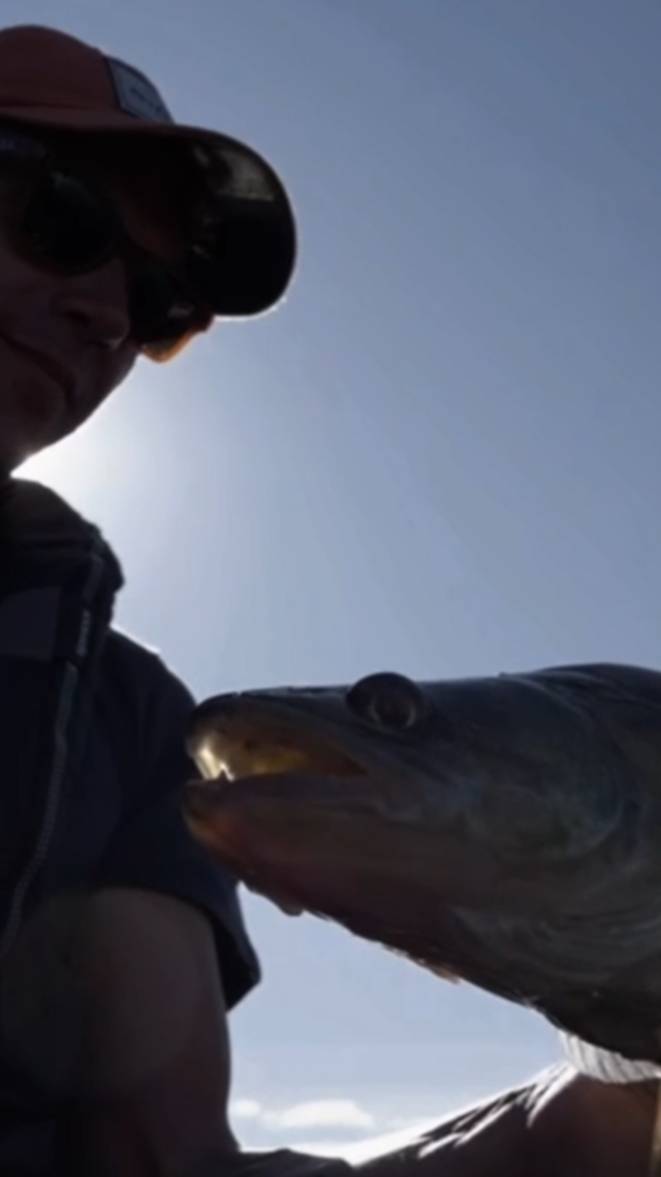 Рыбалка с Panoptix на Jaktar! смотреть онлайн