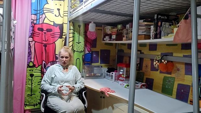 НОВЫЙ ГОД НЕ ЗА ГОРАМИ! смотреть онлайн