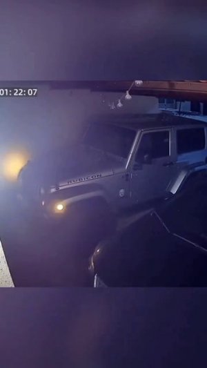 Приколы с котами часть 11