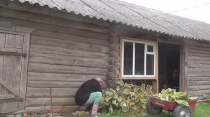 БЕЛОРУССКАЯ ДЕРЕВНЯ