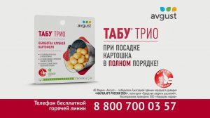 Табу® ТРИО от болезней, колорадского жука, проволочника и погодных стрессов