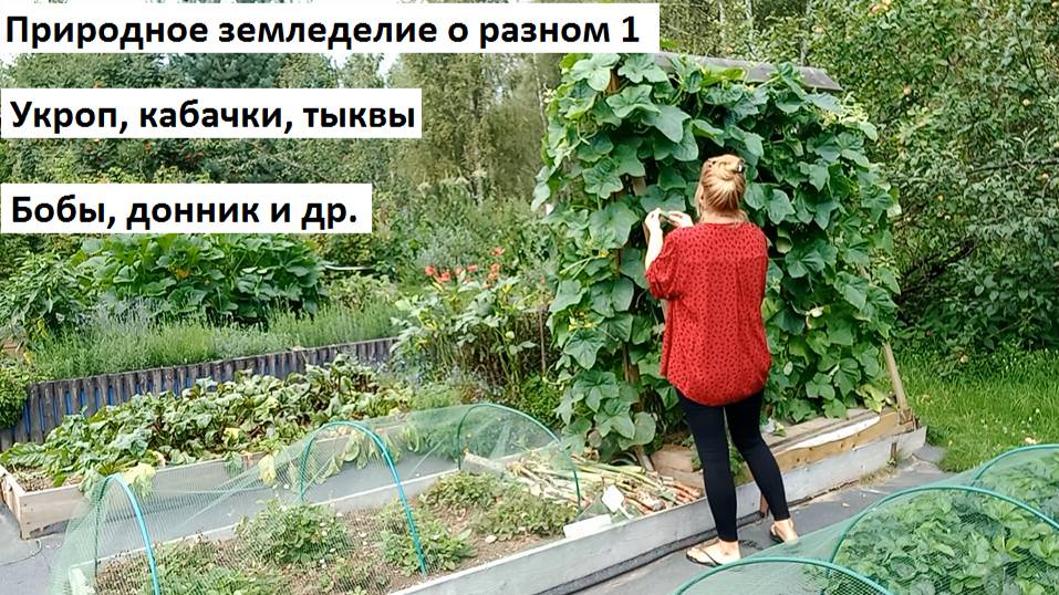 Природное земледелие о разном №1. смотреть онлайн