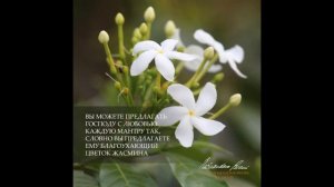 Стремление поклоняться. Вдохновение на джапу от Е.С.Шачинандана Свами