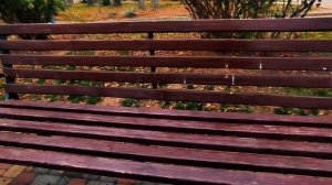 Золотая осень в молодежном парке.