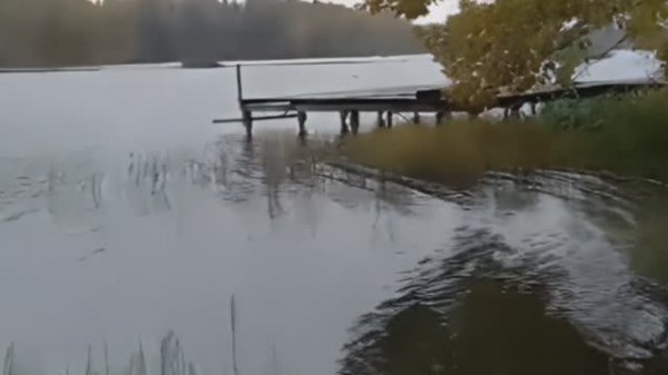 Природа. Замечательное место для отдыха и рыбалки. Нашел катамаран в кустах.