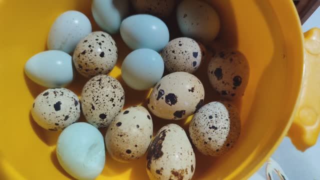 Наконец-то, нашли, кто мешал снимать видео)) смотреть онлайн