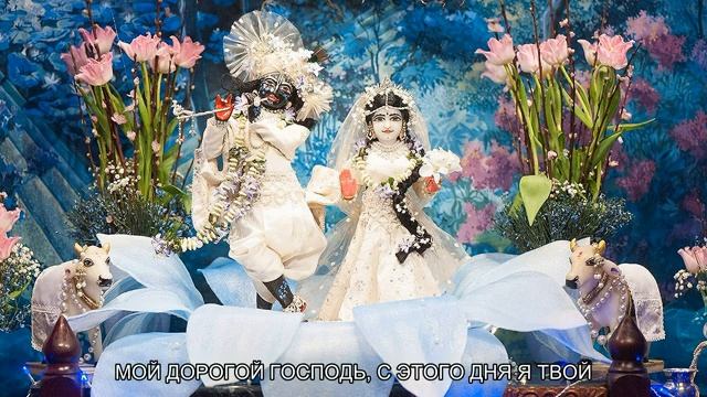 Что такое самбандха. Медитации по книге Живое Имя от Е.С. Шачинандана Свами