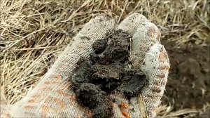 АРХИВ. Поход на хутор. Экстремальный коп. Неудачный выход.