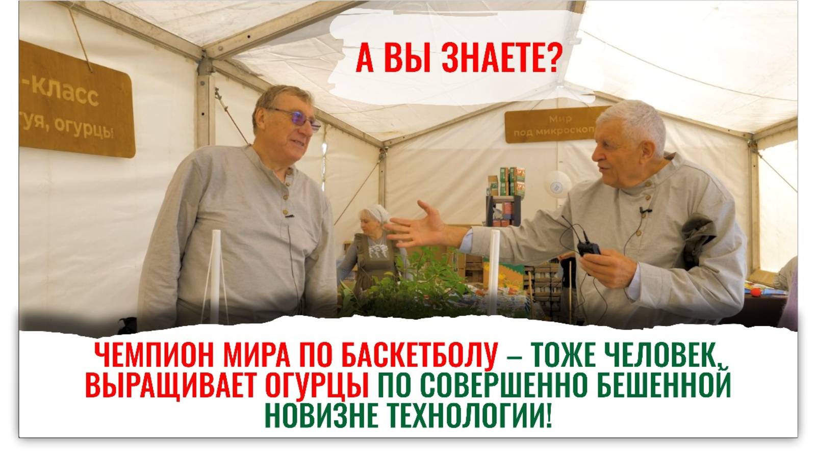 Зимний, хрустящий огурец прямо с подоконника. Легко вырастить! смотреть онлайн