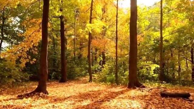 КОМЕДИЯ РОК Бессмысленно ли это всё!!! смотреть онлайн