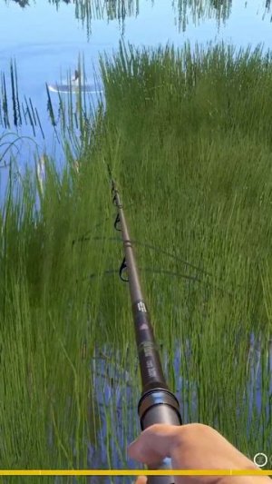 Крупный АМУР на катушку СПАРК ● Русская Рыбалка 4 _ РР4