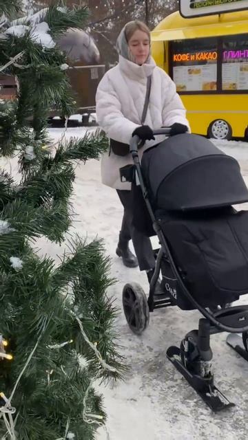 Лыжи на коляску смотреть онлайн