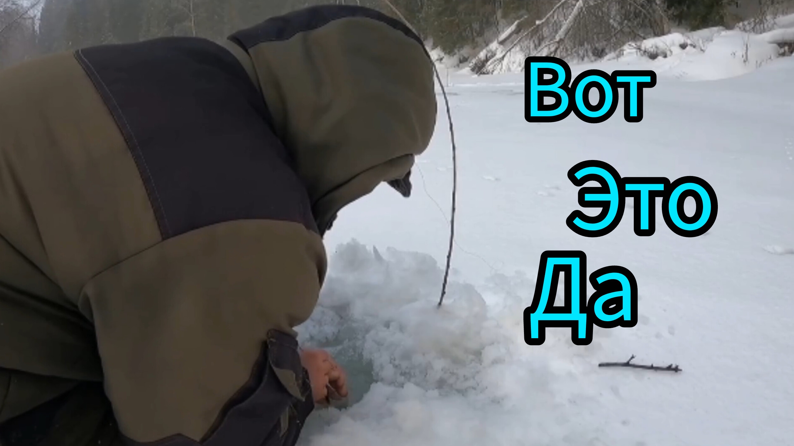 ЗАГНУЛО ПРУТИК. ПРОВЕРКА. ОДИН В ЛЕСУ.